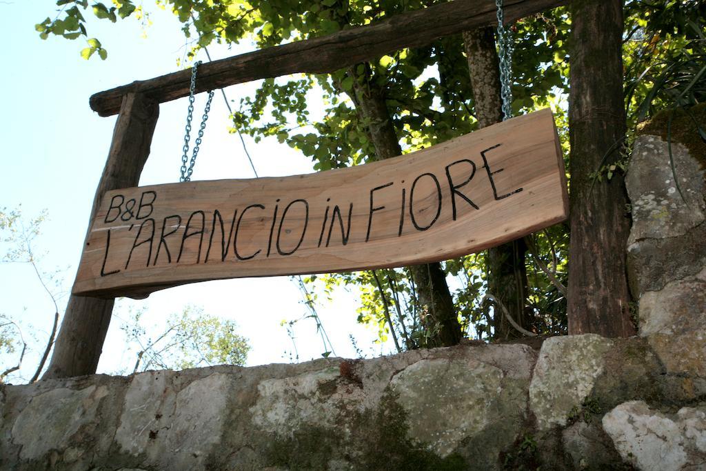 Bed and breakfast L' Arancio In Fiore *
