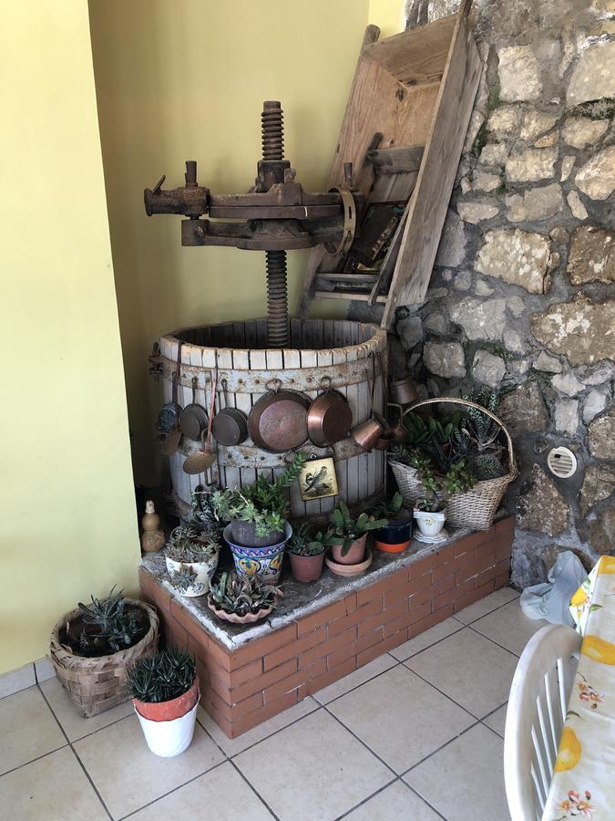 Bed and breakfast L' Arancio In Fiore Sant'Agnello