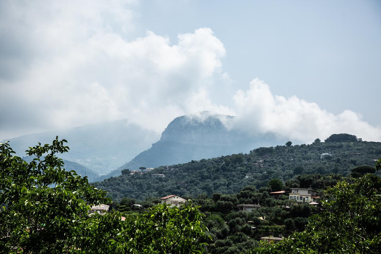 L' Arancio In Fiore Sant'Agnello
