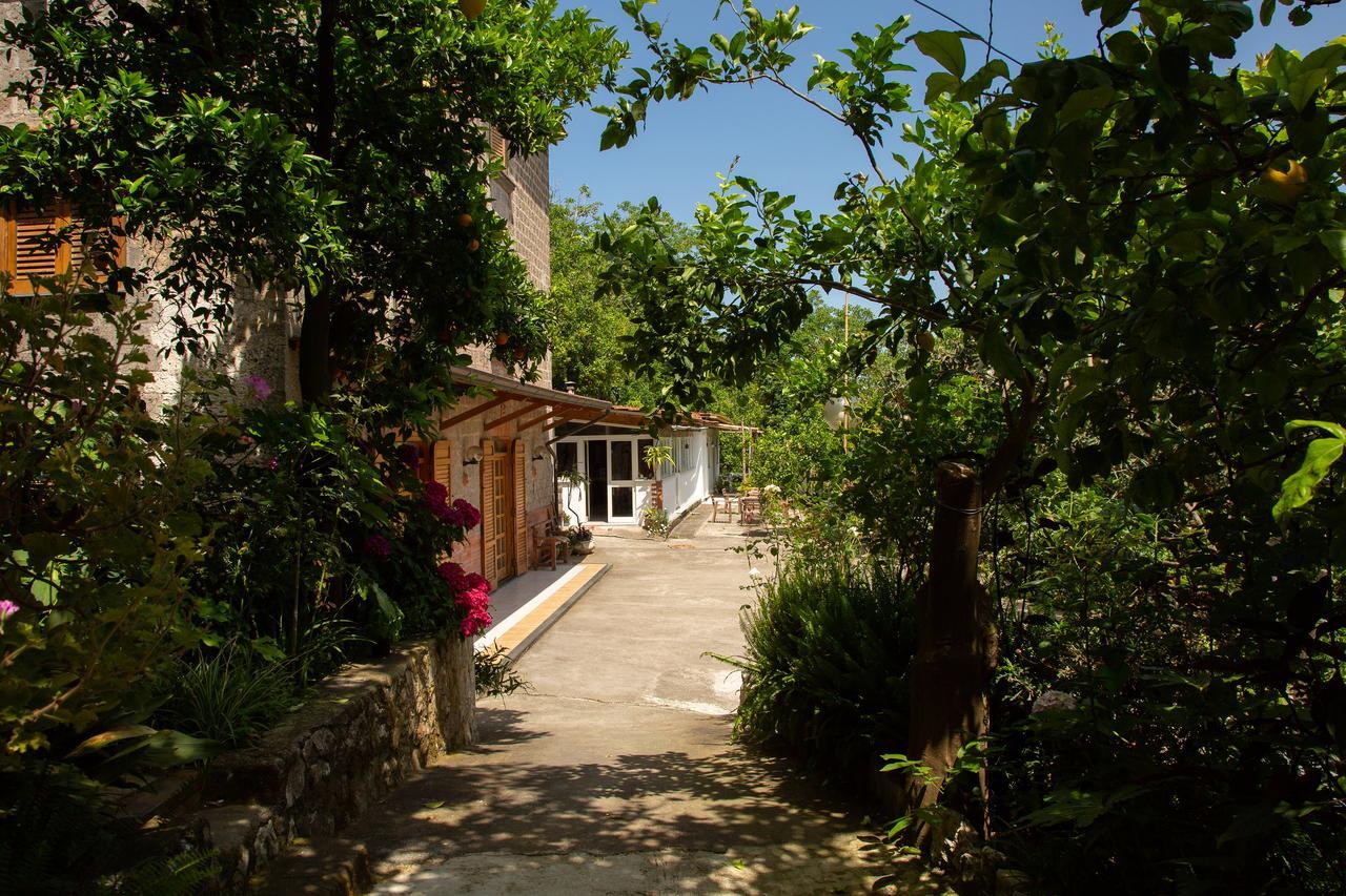 L' Arancio In Fiore Sant'Agnello