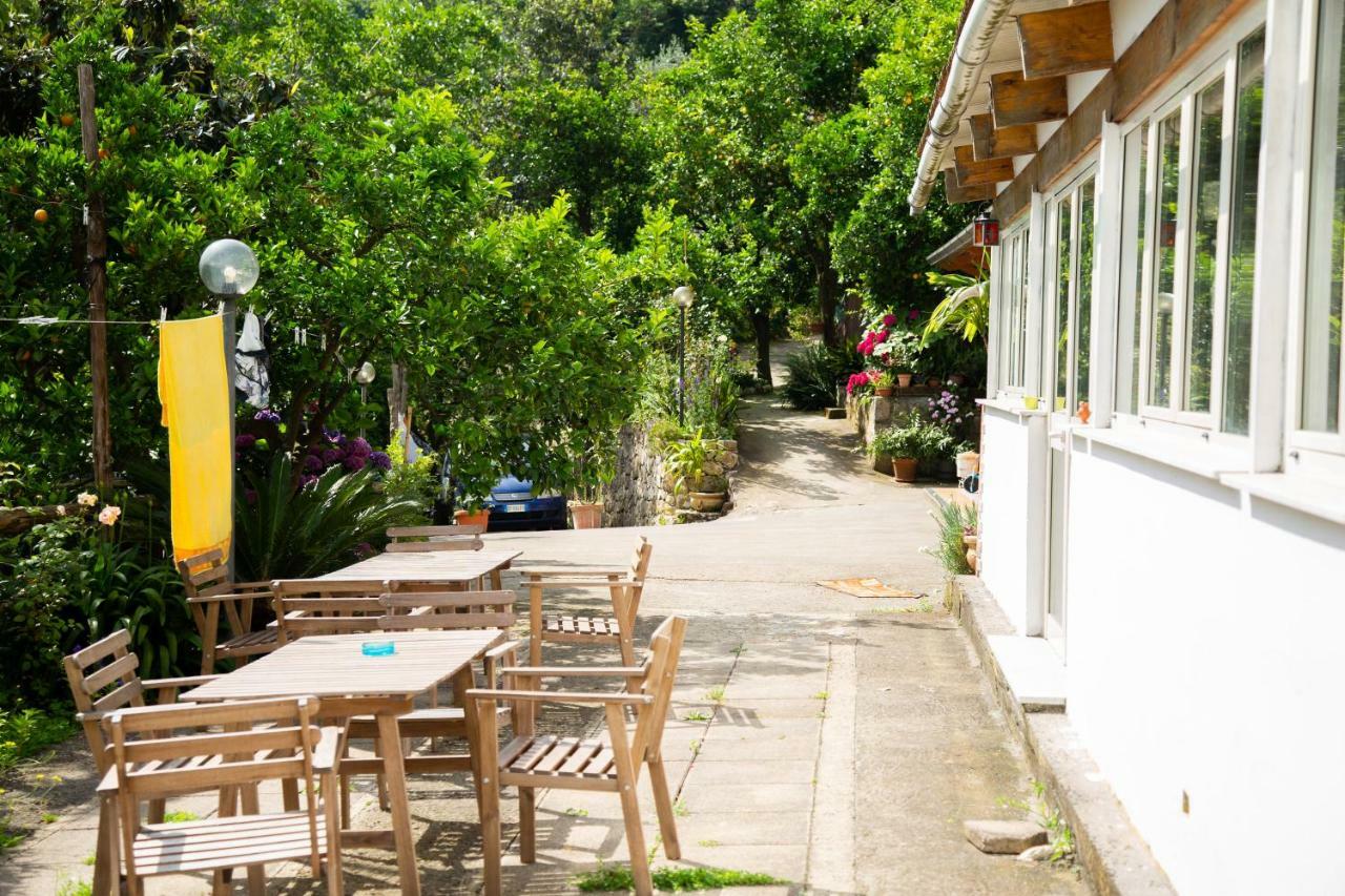 Bed and breakfast L' Arancio In Fiore Sant'Agnello