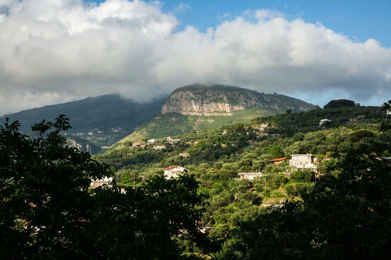 Bed and breakfast L' Arancio In Fiore *